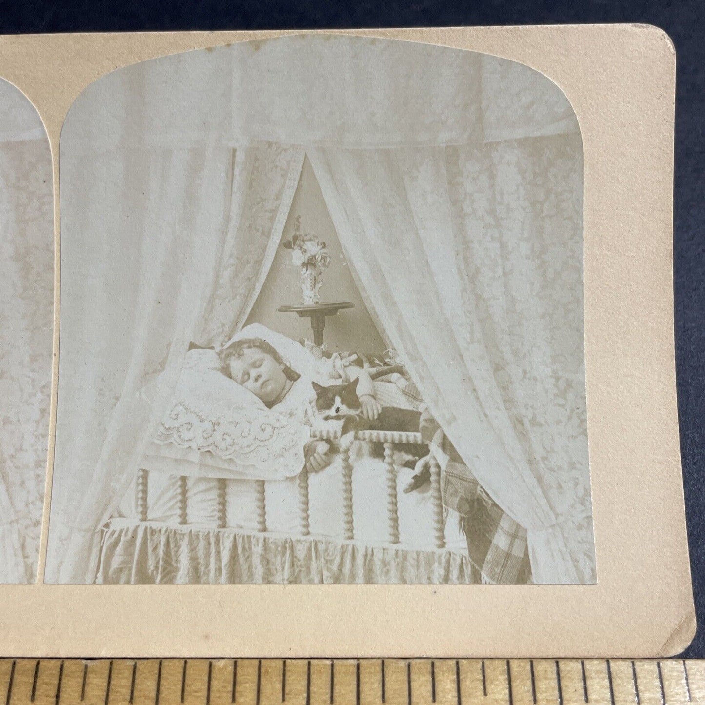 Antique 1870s Young Girl Sleeping With Cat In Crib Stereoview Photo Card P4142