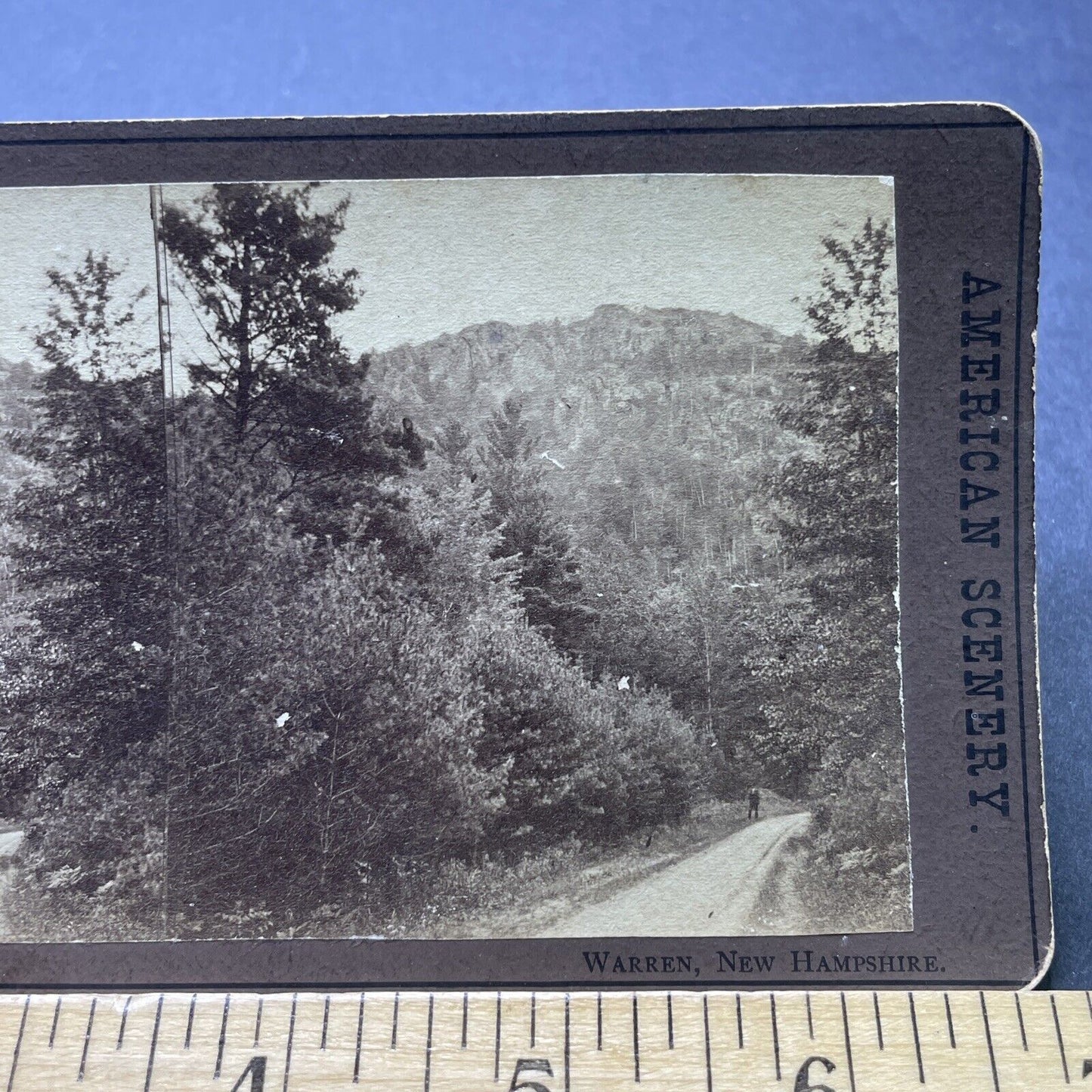 Antique 1880s A Roadway In Warren New Hampshire Stereoview Photo Card P2435