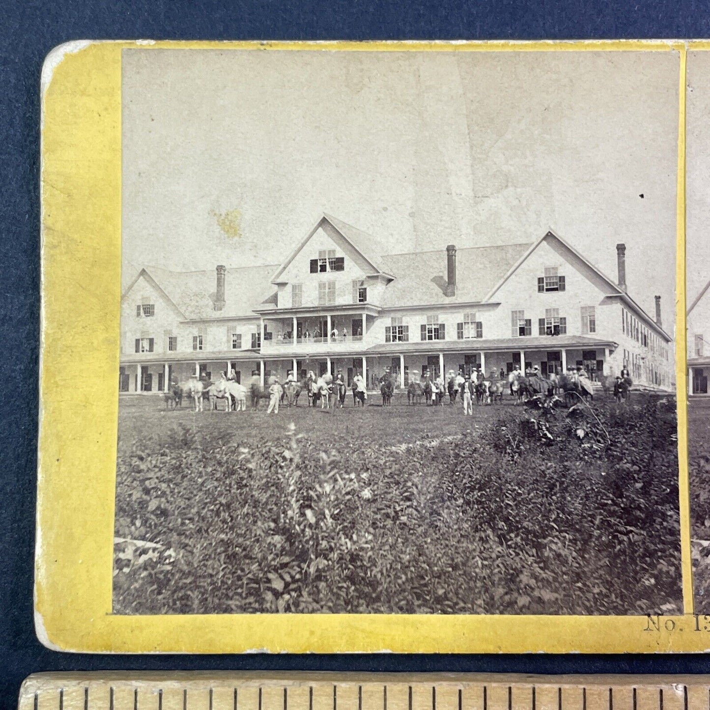 Expedition Horses at Crawford House Stereoview New Hampshire Antique c1870s Y949