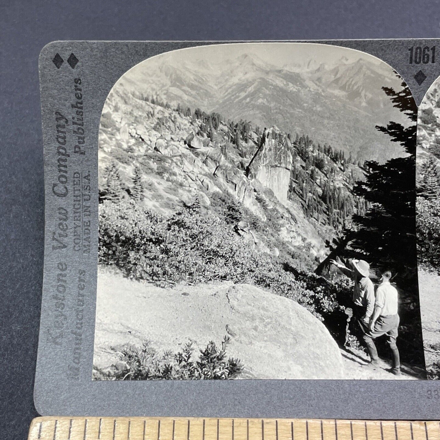 Antique 1910s Panther Gap Sequoia National Park CA Stereoview Photo Card V2047