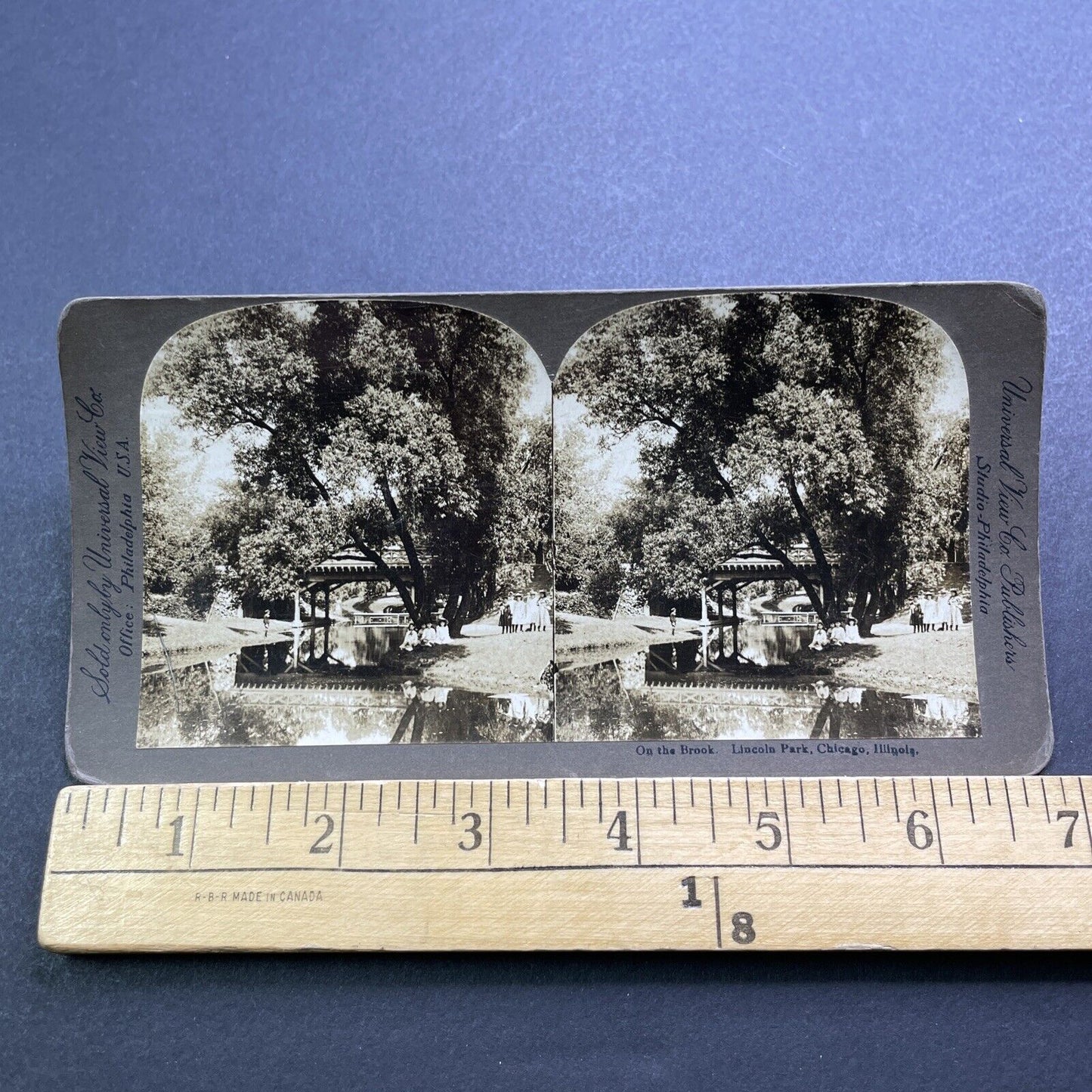 Antique 1906 Lincoln Park Chicago Illinois Stereoview Photo Card V3586