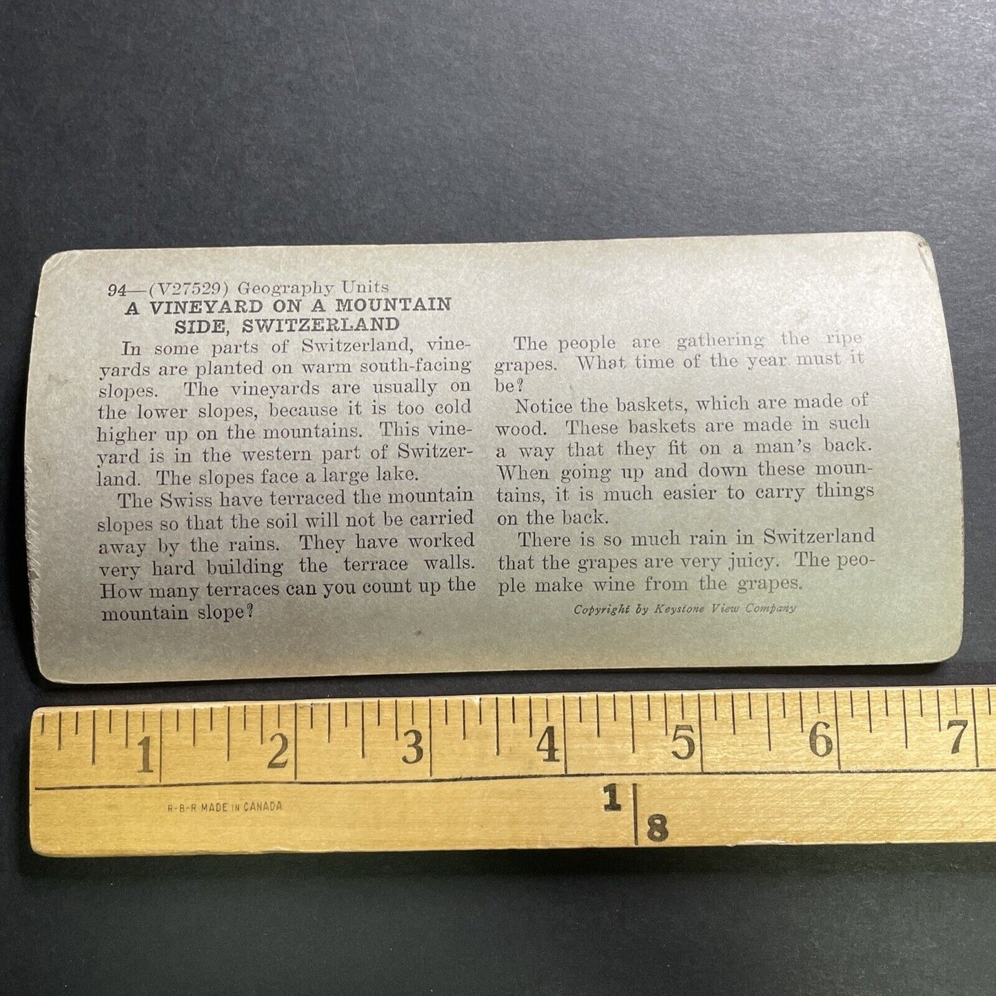 Antique 1918 Grape And Wine Vineyard Switzerland Stereoview Photo Card P1430