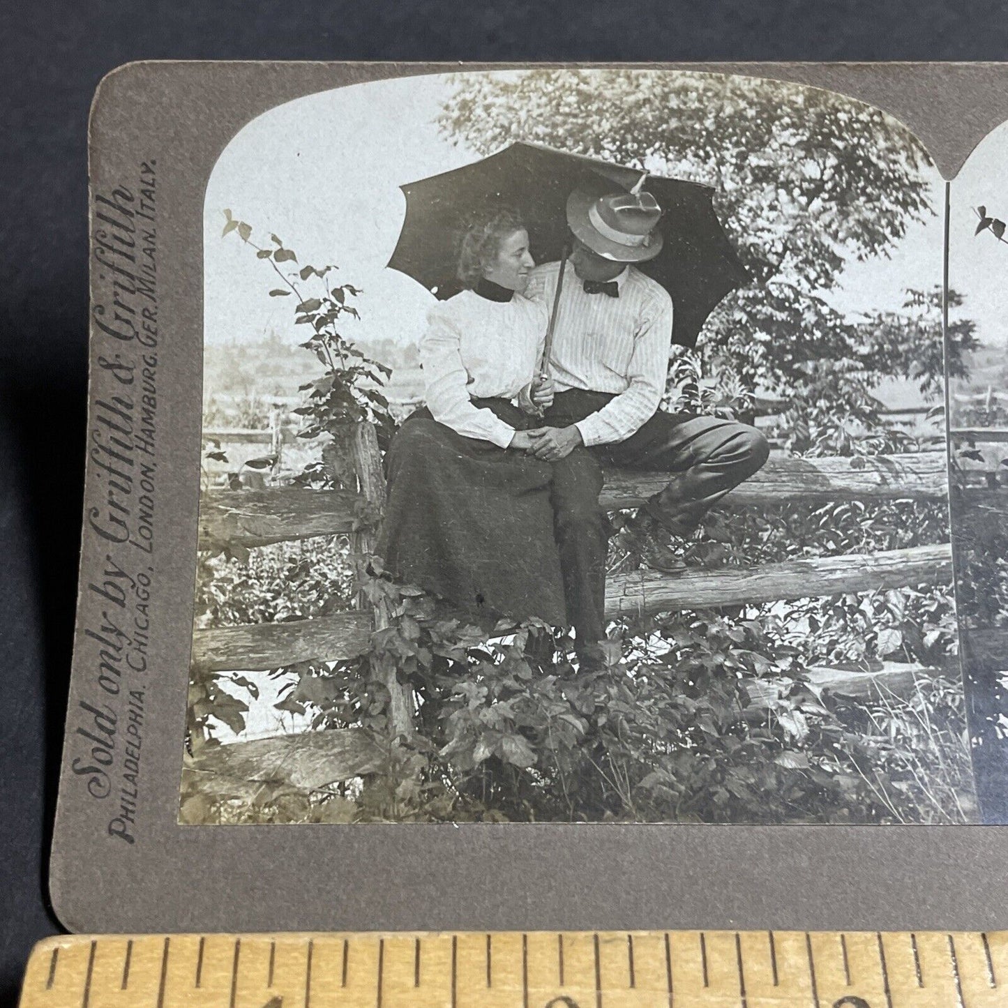 Antique 1904 A Young Couple Cuddles On A Fence Stereoview Photo Card P4685