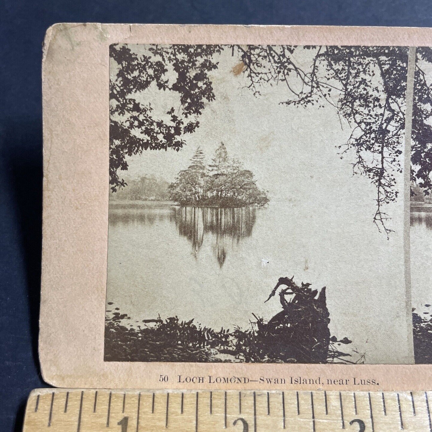 Antique 1890s Swan Island Loch Lomond Scotland Stereoview Photo Card P5564