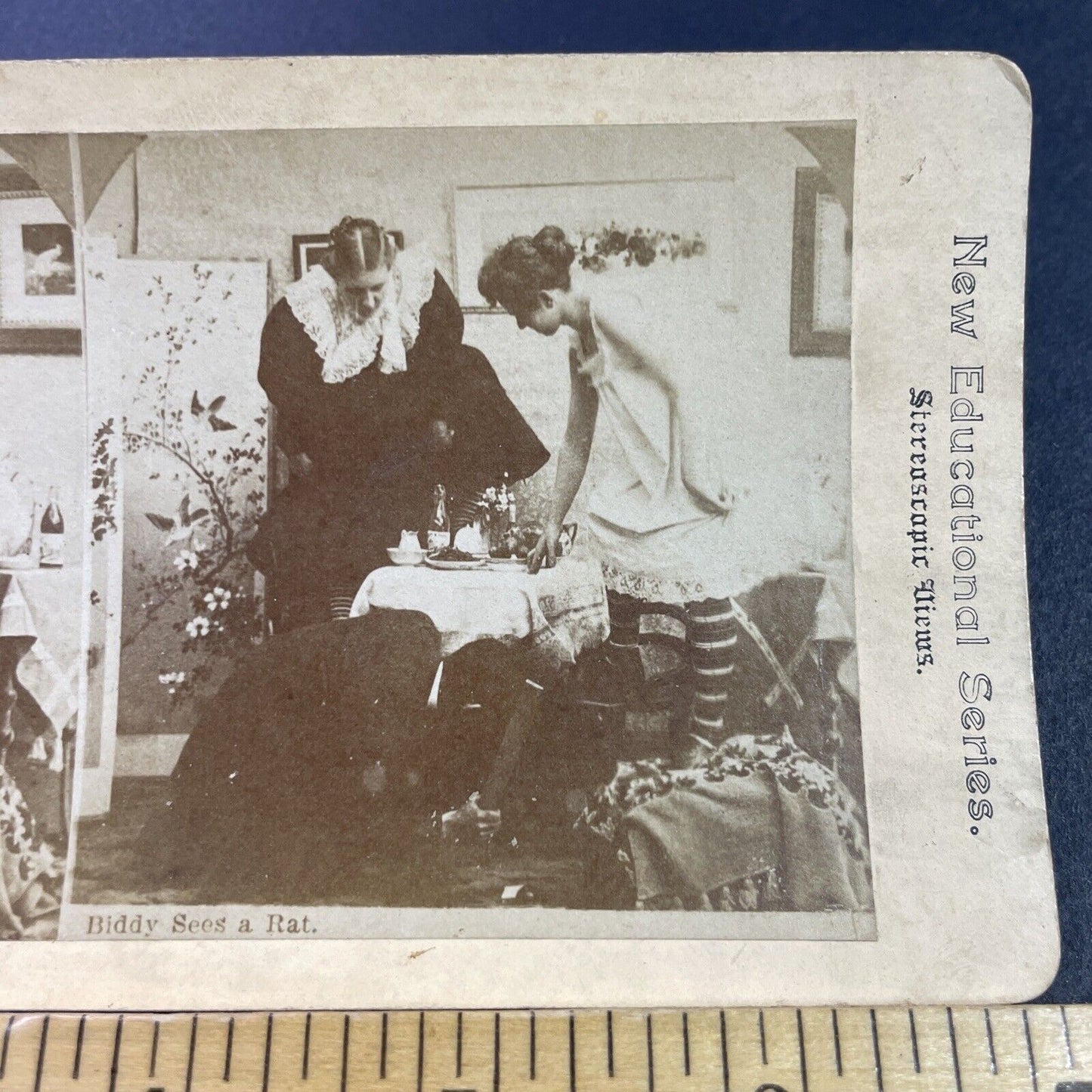 Antique 1880s Women Hide From A Rat At Dinner Stereoview Photo Card P3446