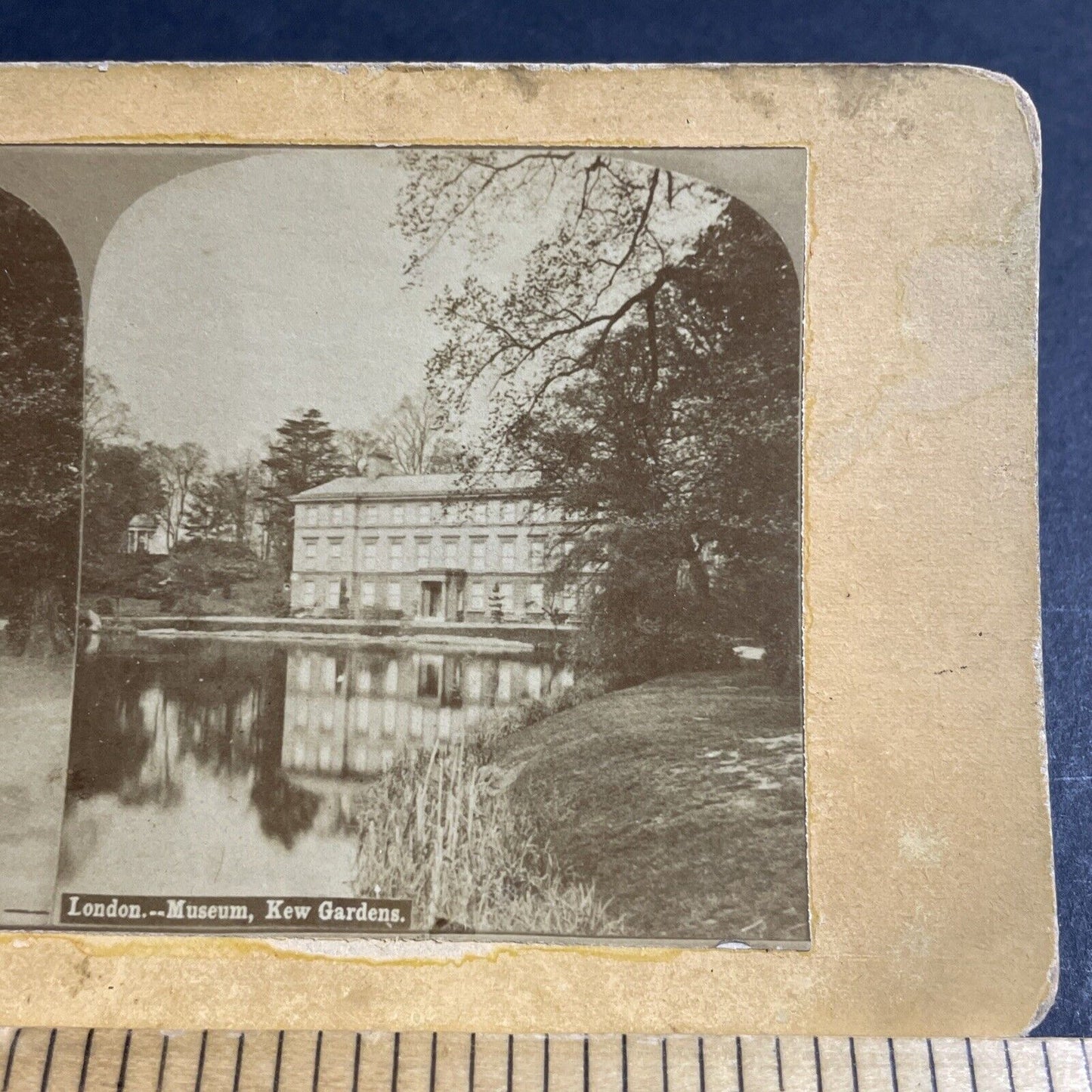 Antique 1870s London Museum In Kew Gardens Stereoview Photo Card P4550