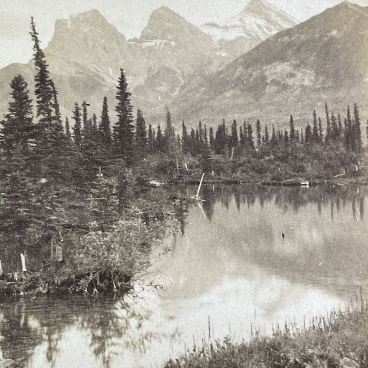 Bow River Valley Canmore Alberta Canada Stereoview Underwood c1900 Y857