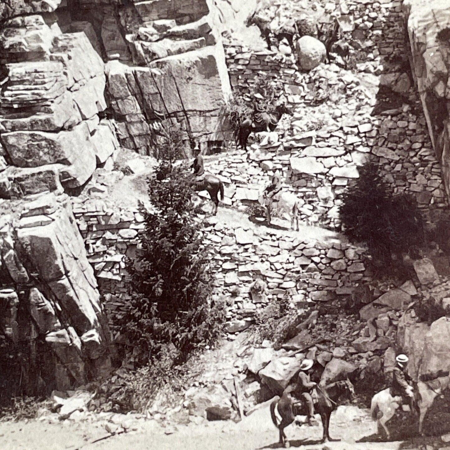 Big Oak Flat Road Yosemite California Stereoview Photo Antique c1902 X3195