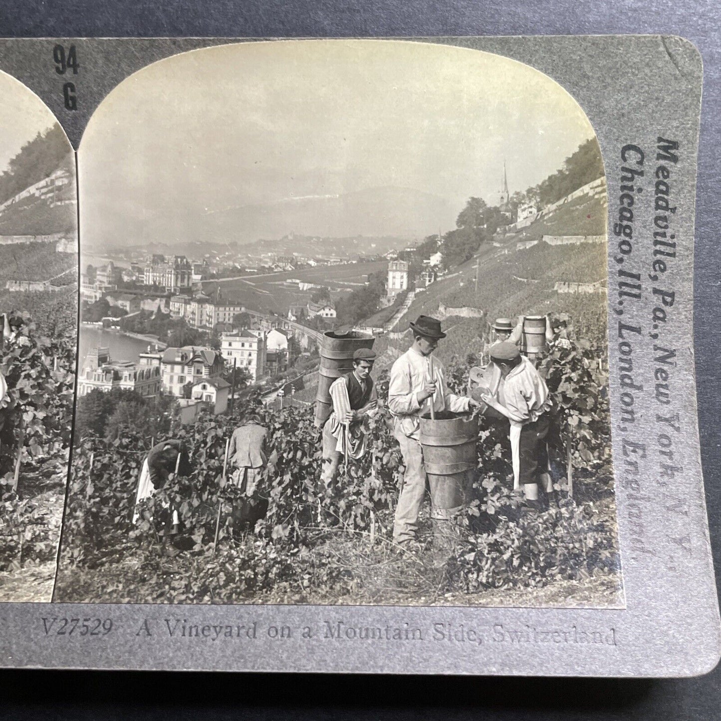 Antique 1918 Grape And Wine Vineyard Switzerland Stereoview Photo Card P1430