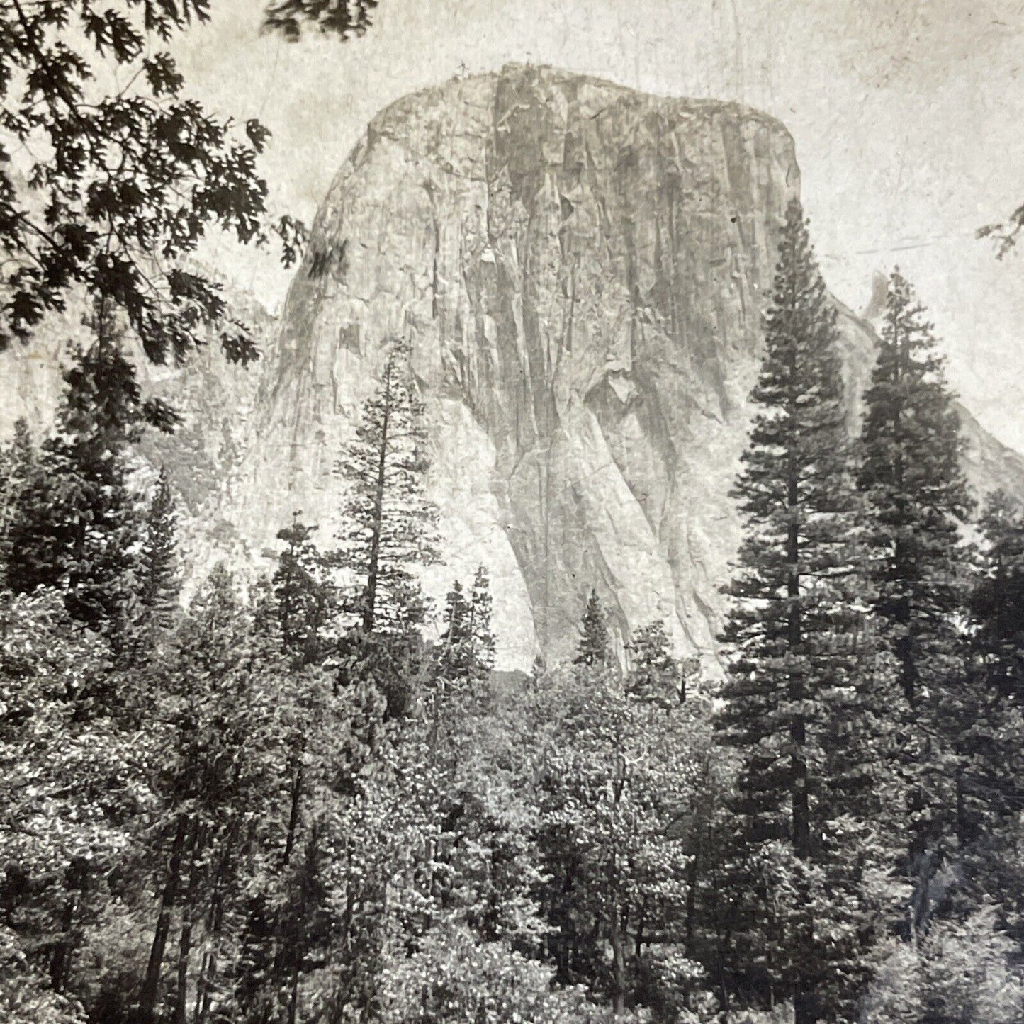 Antique 1910s El Capitan Mountain Yosemite CA Stereoview Photo Card P4282