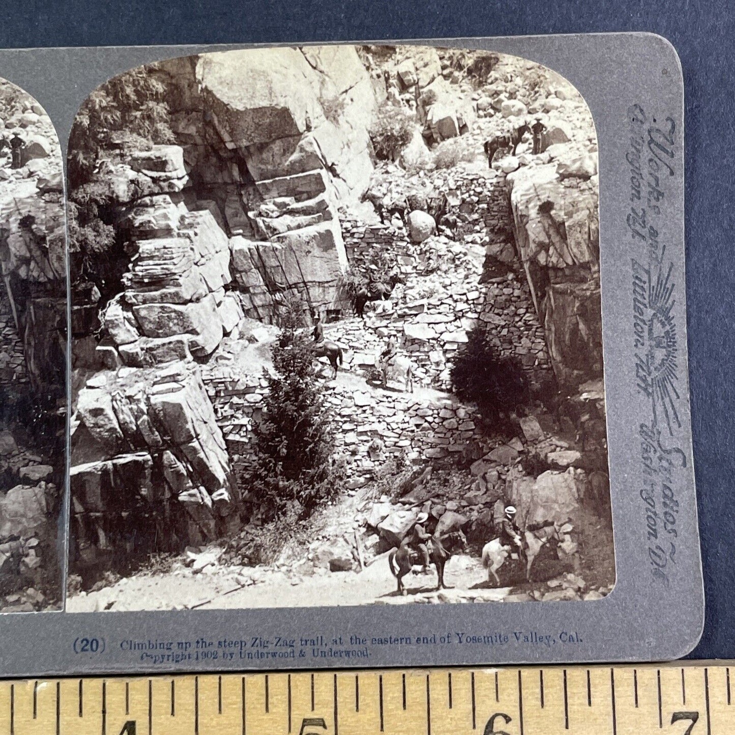 Big Oak Flat Road Yosemite California Stereoview Photo Antique c1902 X3195