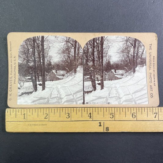 Winter Snowstorm Near Philadelphia Stereoview CH Graves Antique c1898 X2832