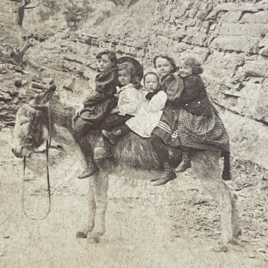 Antique 1894 Williams Canyon Colorado Donkey Ride Stereoview Photo Card P5218