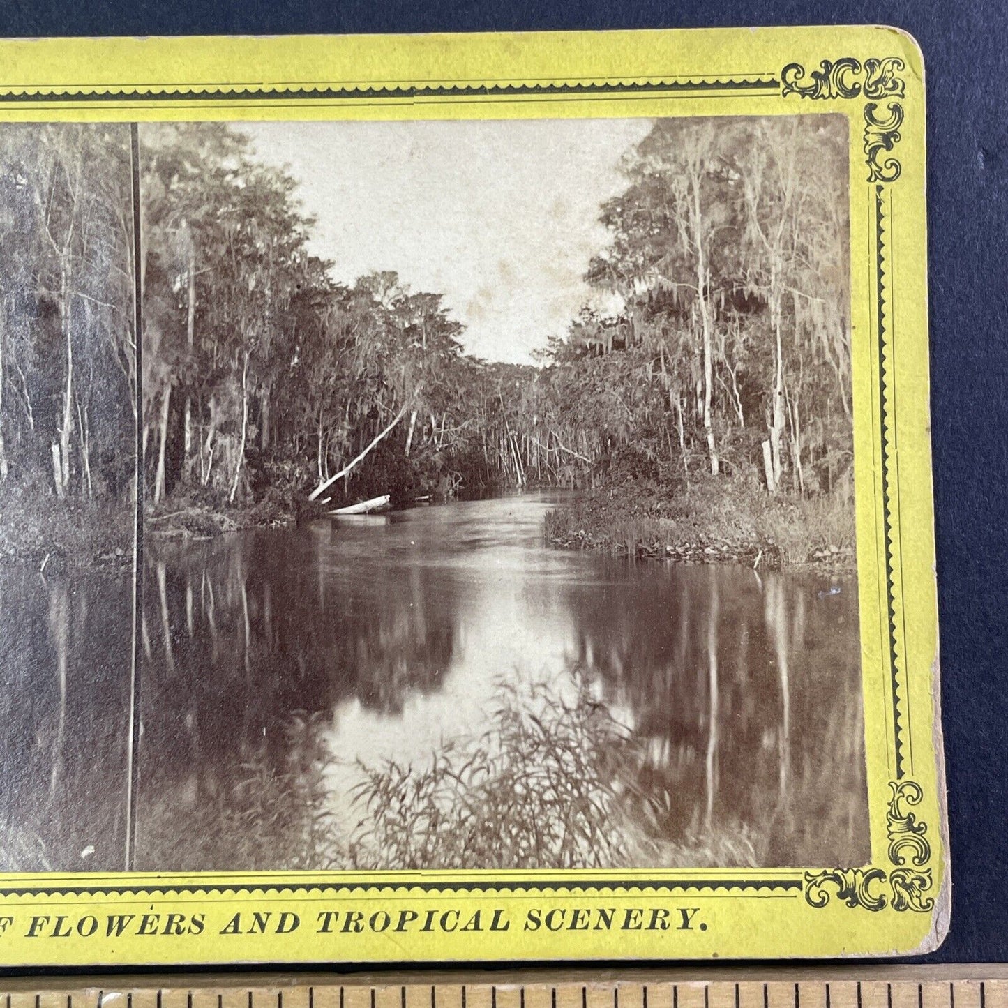 Devils Elbow in East Palatka Florida Stereoview Antique c1885 J.I. Mackey Y089