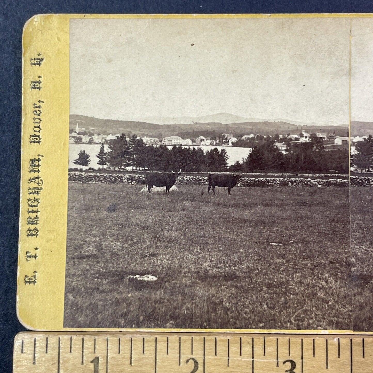 Wolfeboro New Hampshire Stereoview Clarks Point ET Brigham Antique c1870 X919