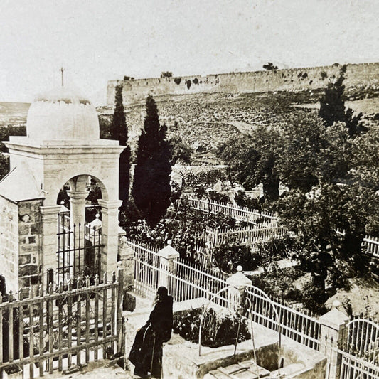 Antique 1901 Garden Of Gethsemane Israel Palestine Stereoview Photo Card P2494