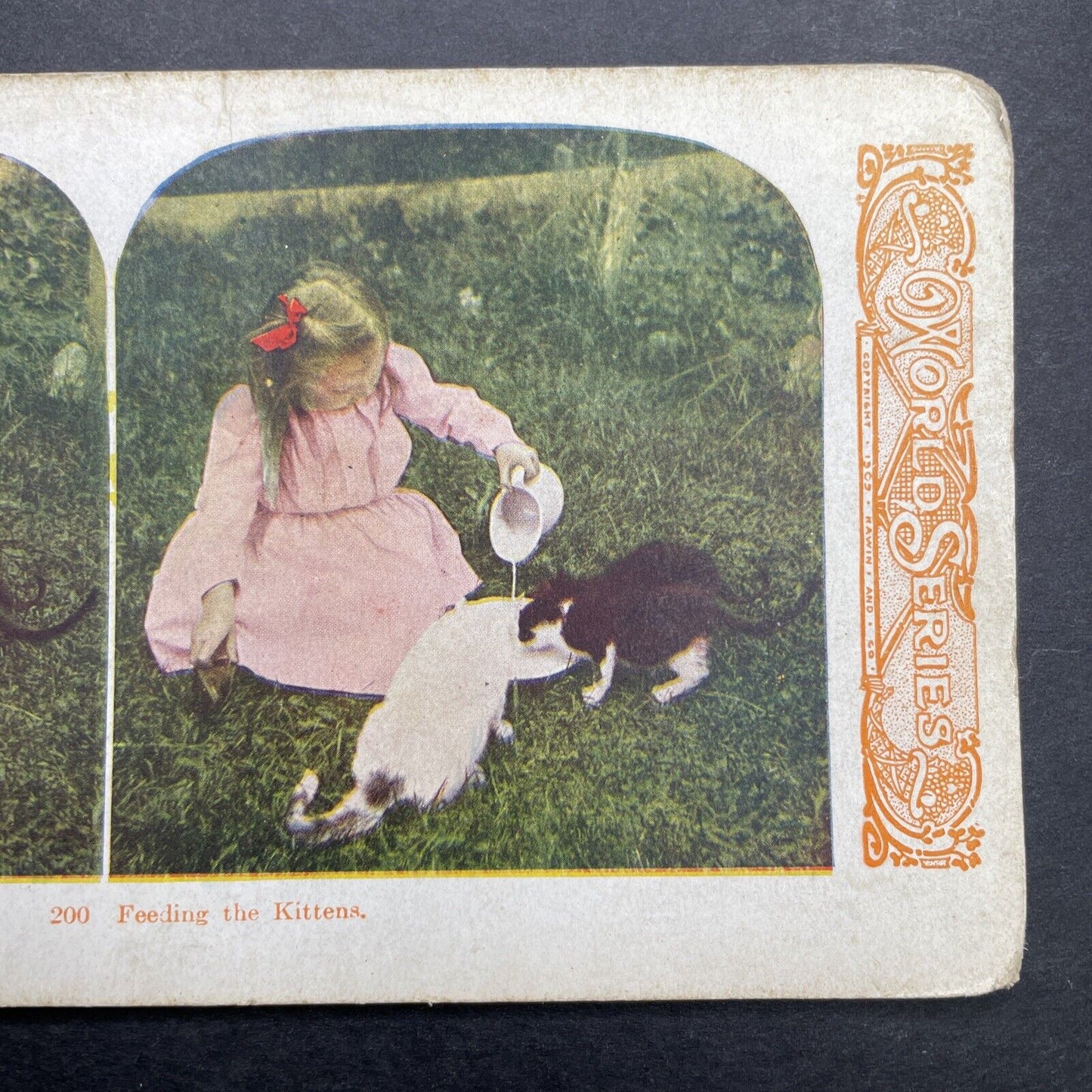 Antique 1905 Young Girl Giving Cats Some Milk Stereoview Photo Card P580-055