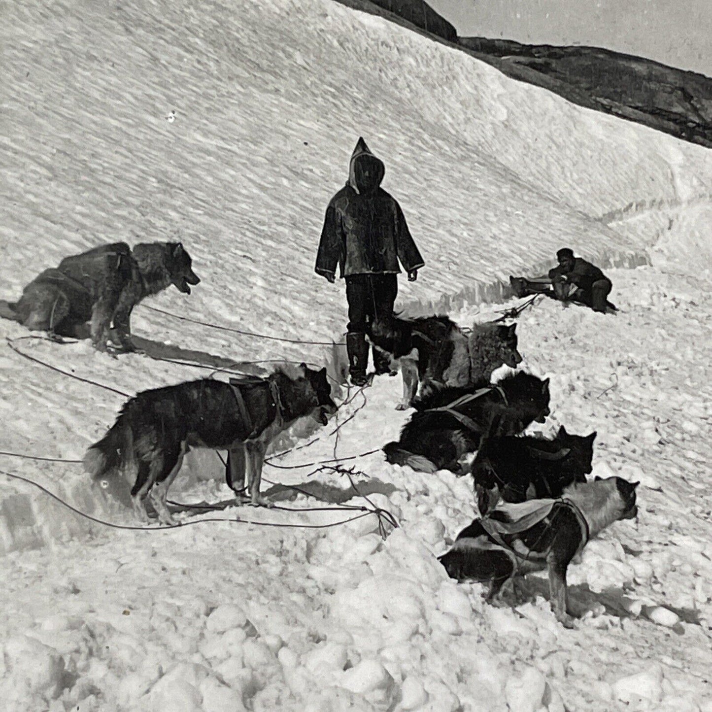 Dogsled Team In Hopedale Labrador Newfoundland Stereoview Antique c1909 X2492