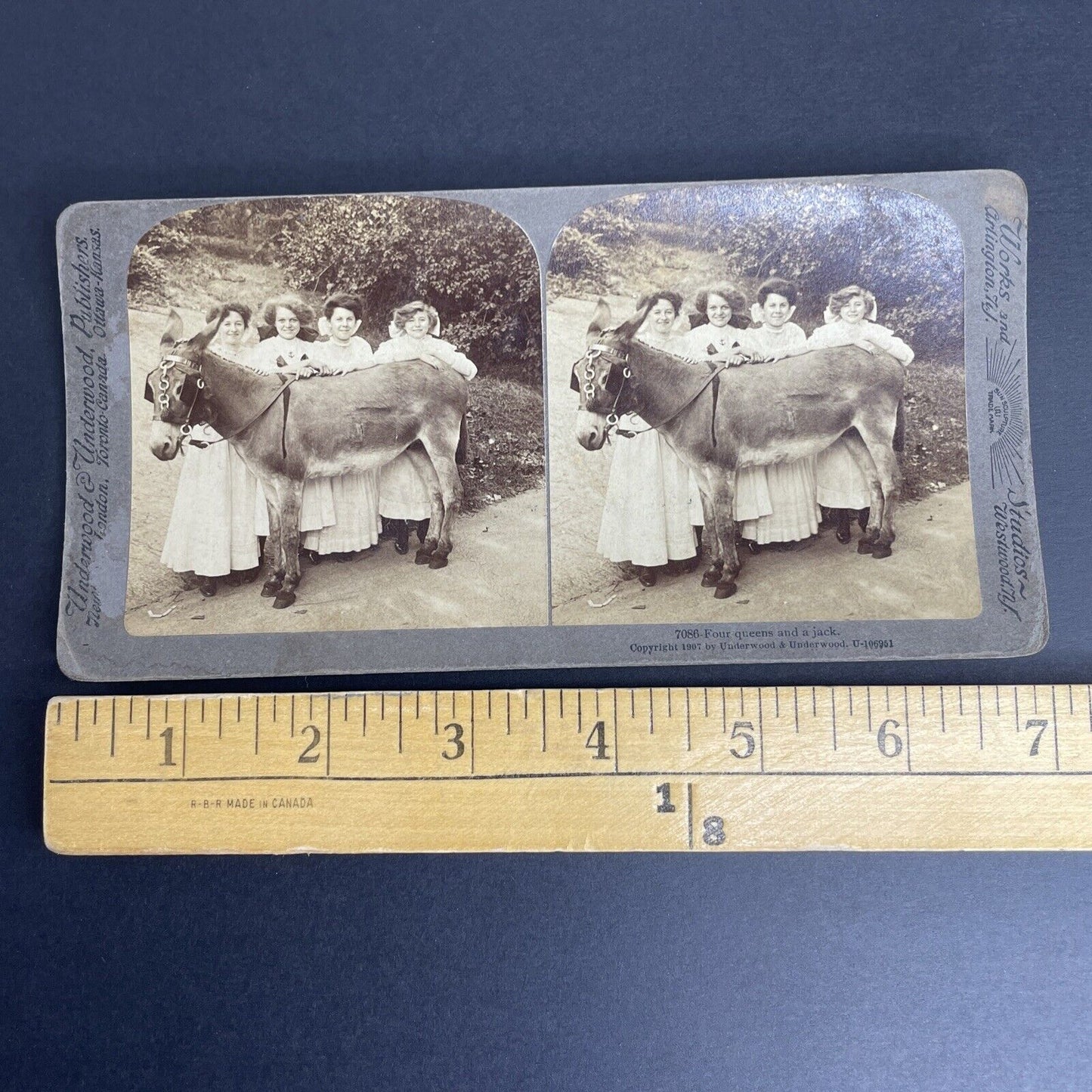 Antique 1907 Four Beauties And A Donkey Stereoview Photo Card PC793