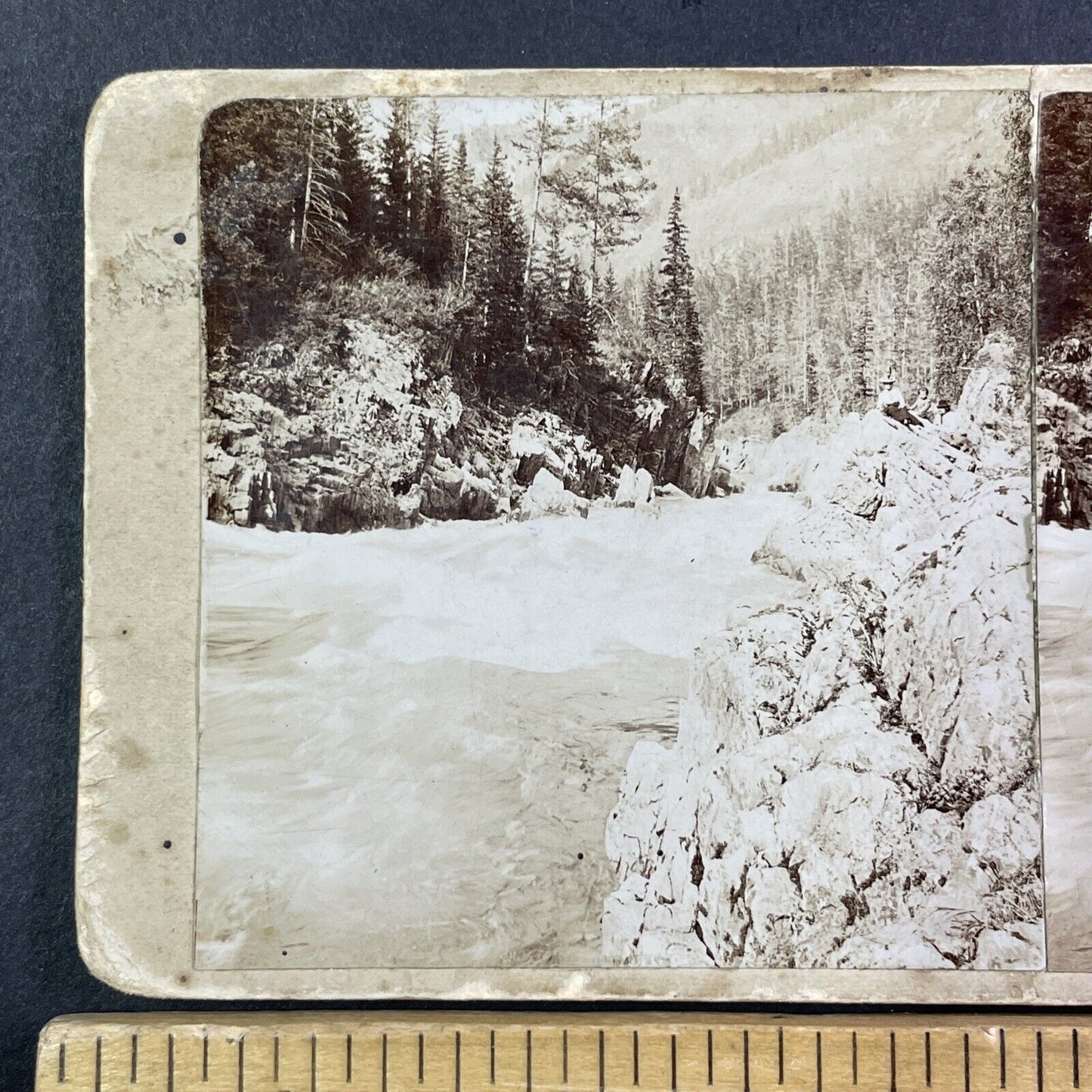 Katun River Near Kaitanak Siberia Stereoview IR Tomashkevich Antique c1896 X2618