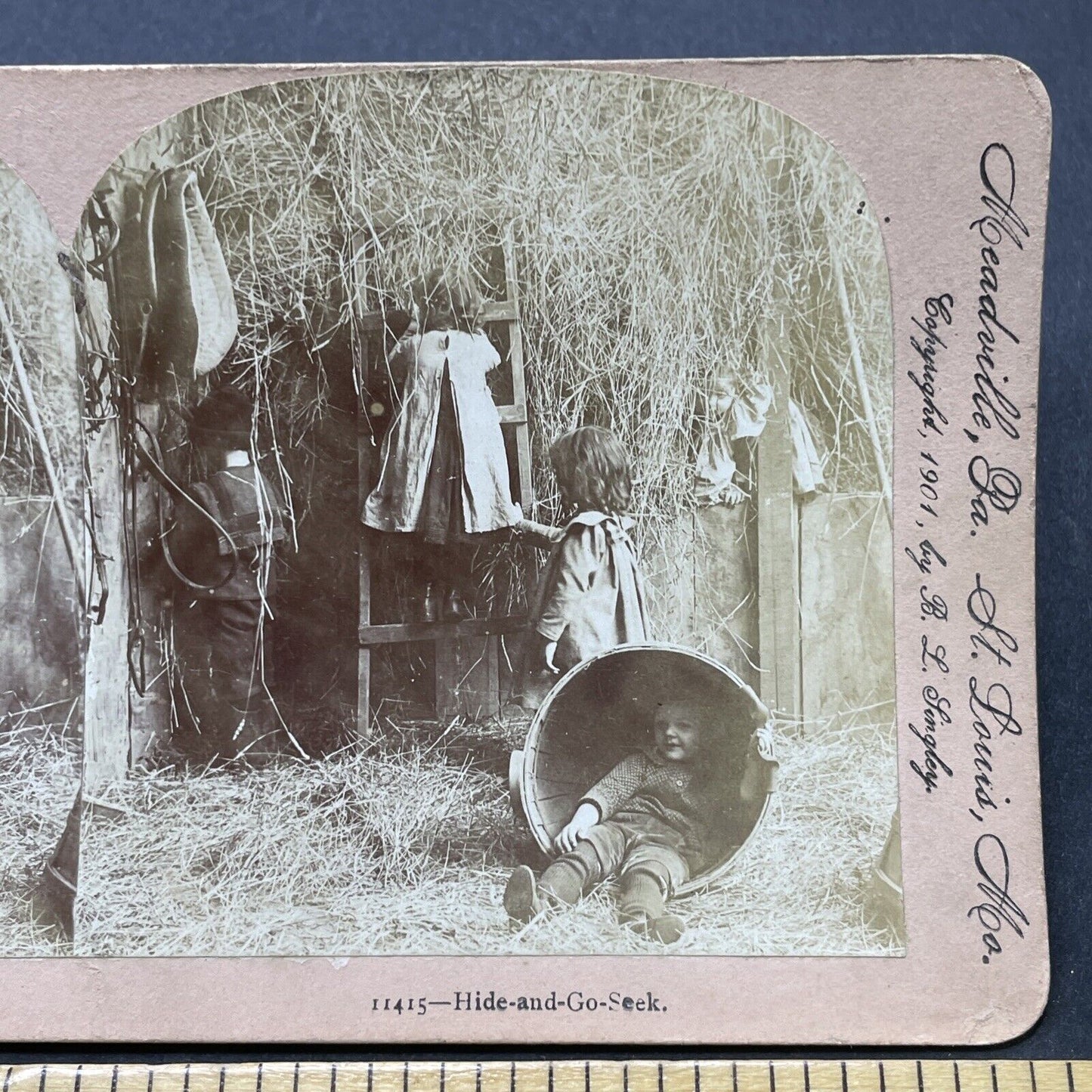 Antique 1901 Hide-And-Seek In A Barnyard Stereoview Photo Card P2607