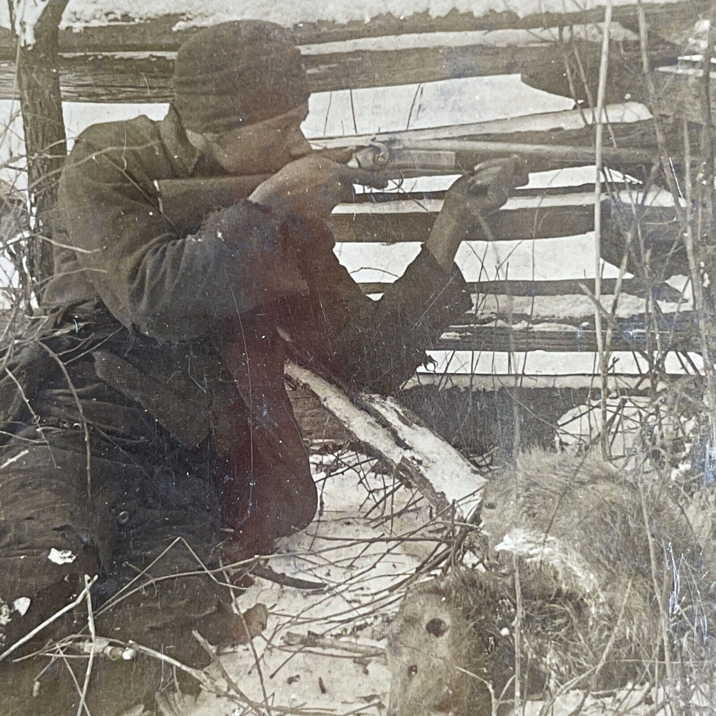 Antique 1901 Hunting Woodchucks & Possums For Dinner Stereoview Photo Card P1029