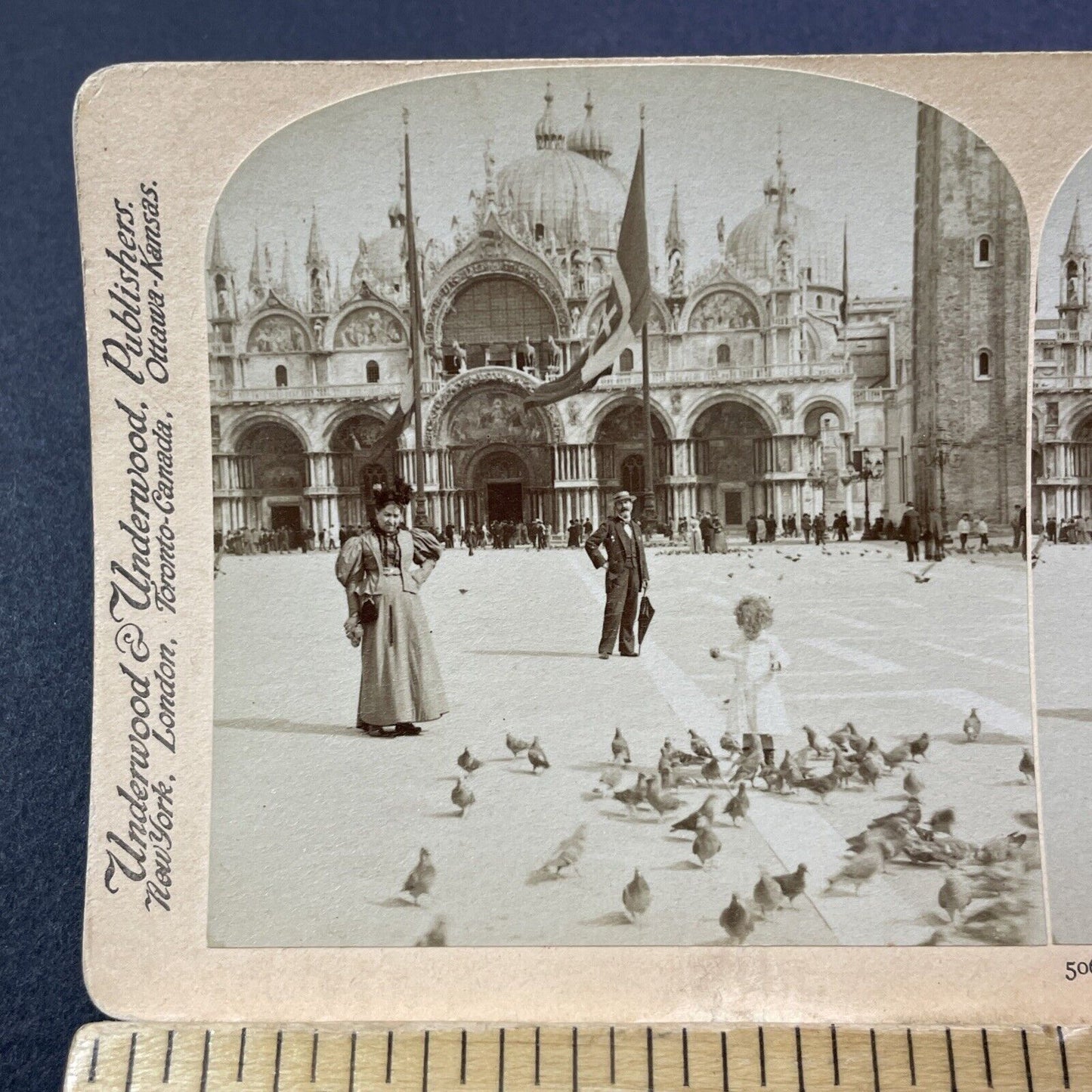 Antique 1898 Child Feeding Pigeons Venice Italy Stereoview Photo Card V3248