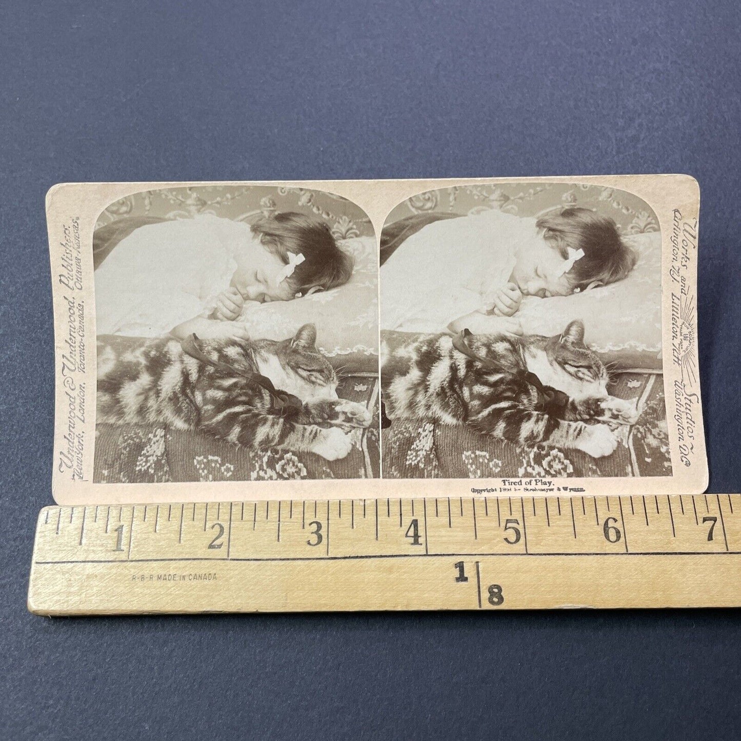 Antique 1896 Cats Sleeps Beside Sleeping Girl Stereoview Photo Card V3266