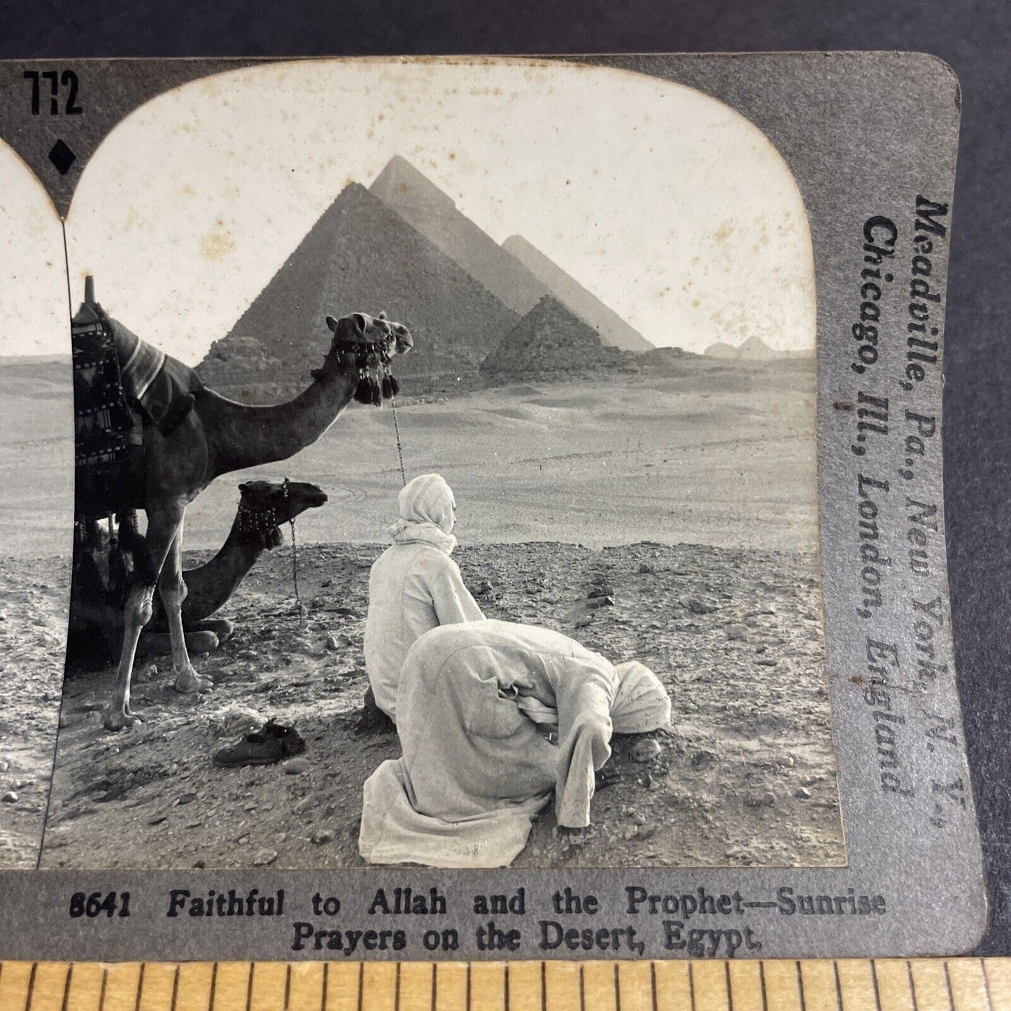 Antique 1909 Muslims Praying In Egypt Near Pyramids Stereoview Photo Card P4220