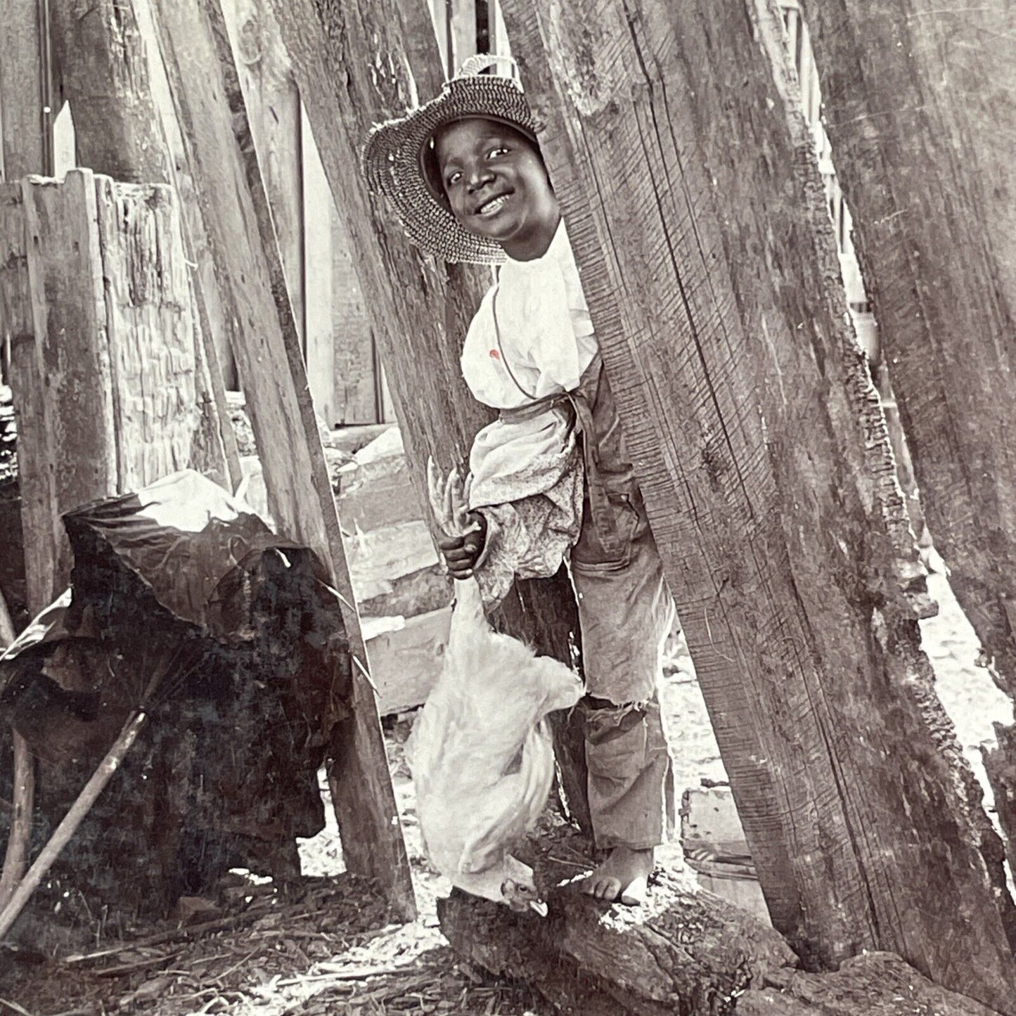 African American Farm Boy Catches A Chicken Stereoview Antique c1899 X2606