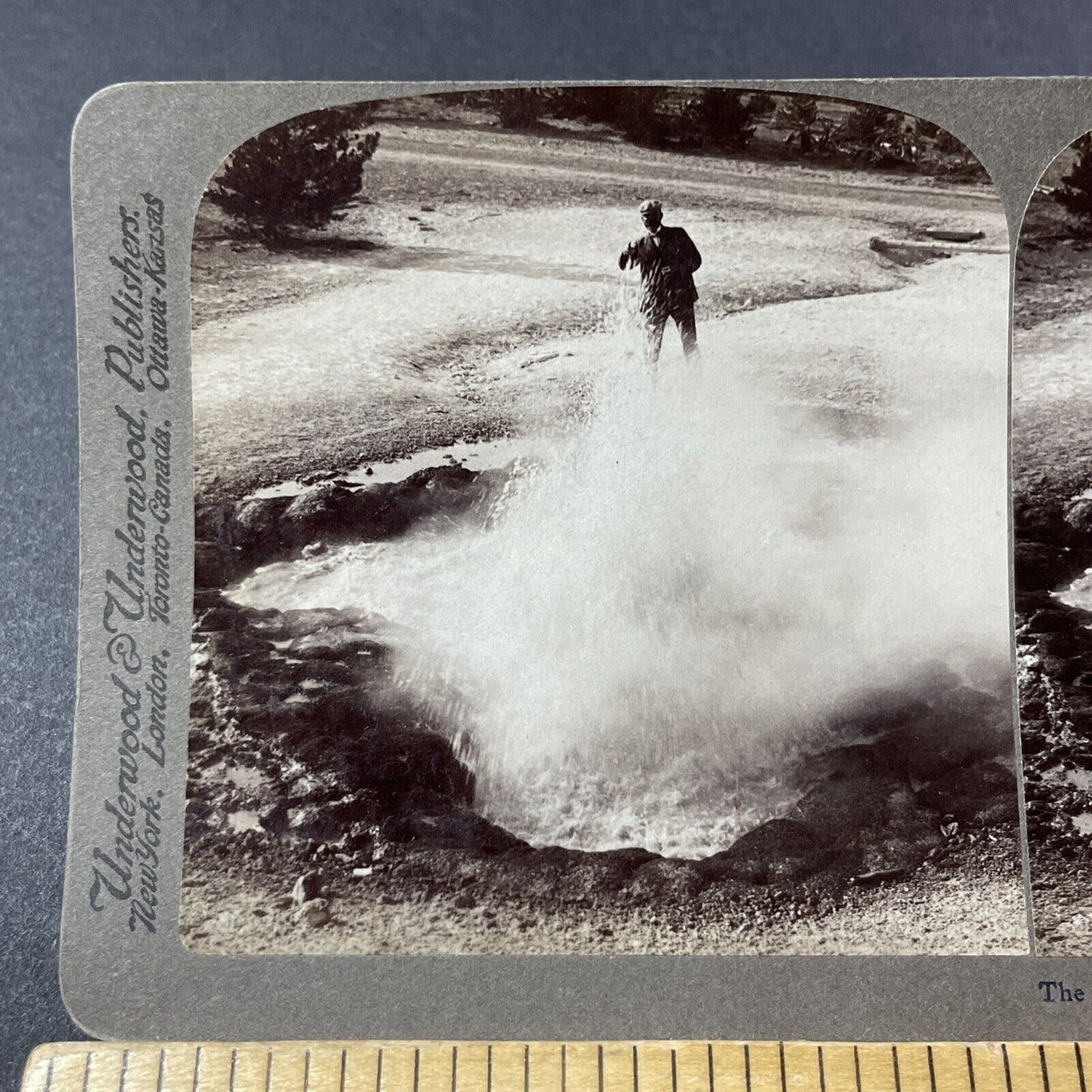 Antique 1904 Geyser Spews At Man Yellowstone Stereoview Photo Card V3202