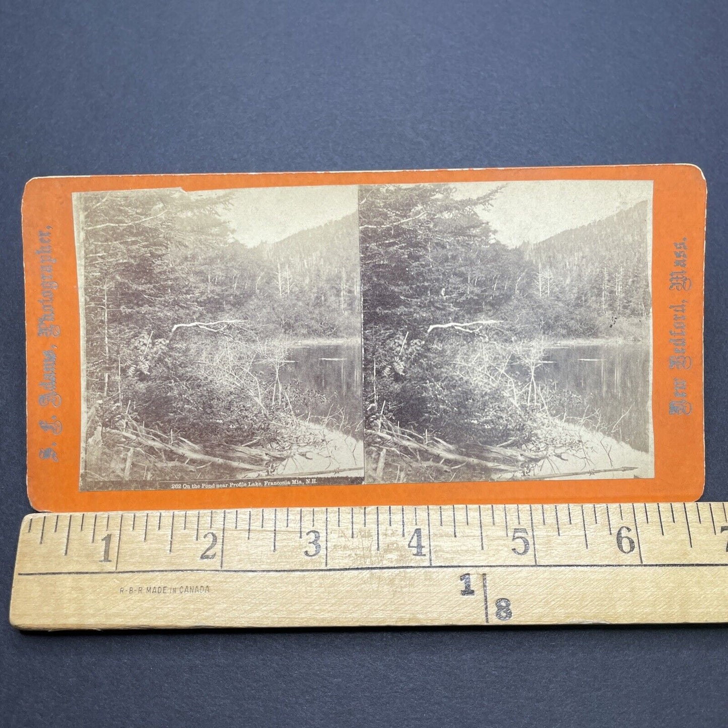 Antique 1860s Profile Lake Franconia New Hampshire Stereoview Photo Card V1705