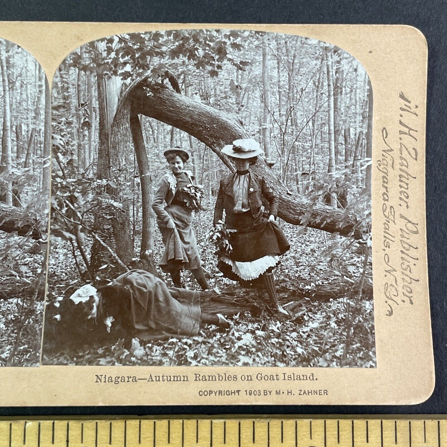 Women Having Fun on Goat Island NY Stereoview M.H. Zahner Antique c1903 Y2487