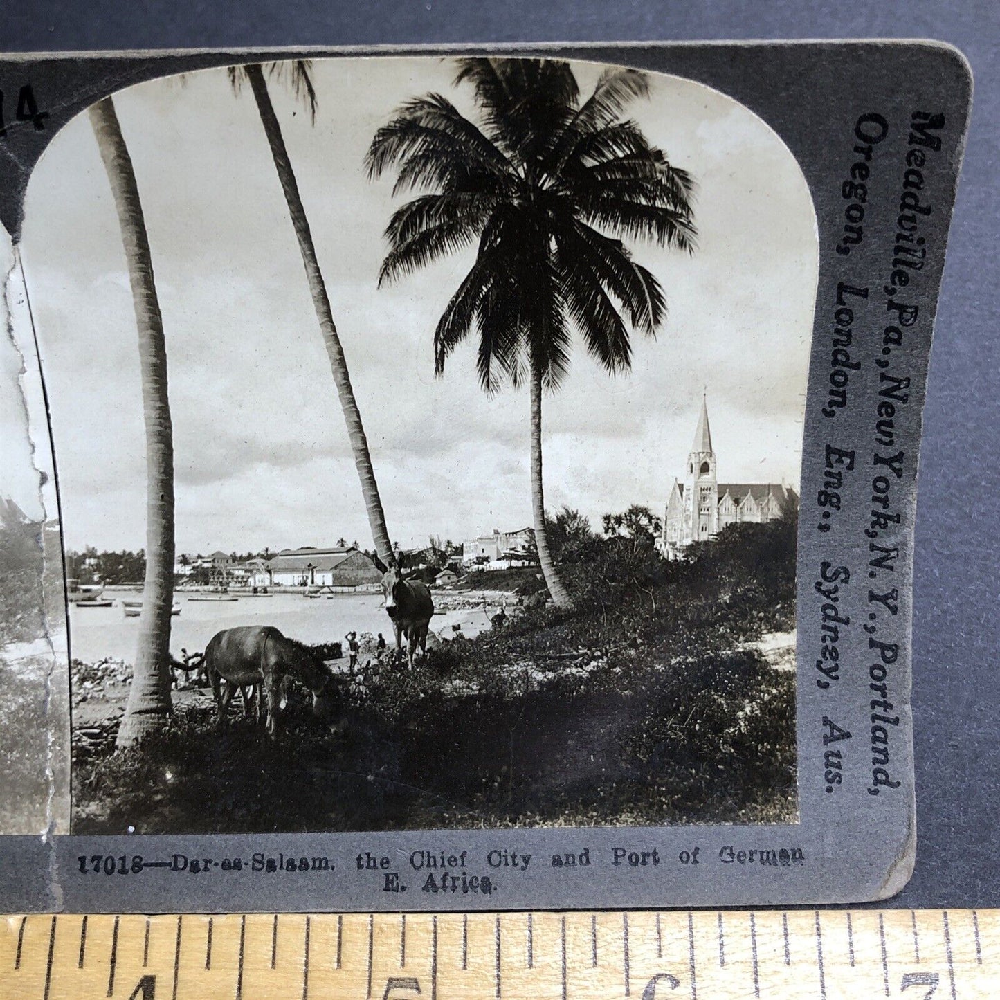 Antique 1910s City Of Dar Es Salaam Tanzania Stereoview Photo Card P2037