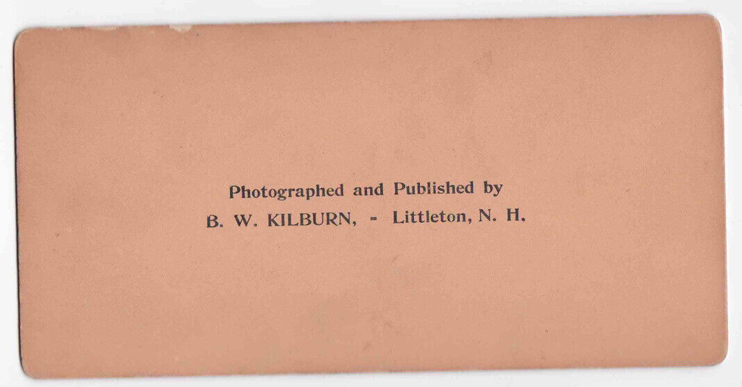 Antique 1893 Chicago Columbian Exposition Jackson Park Square Photo Card P042