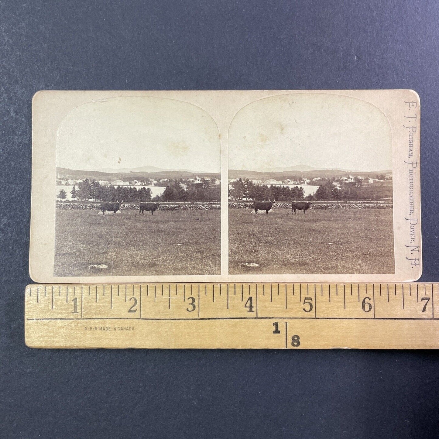 Wolfeboro New Hampshire Stereoview Clarks Point Photo Card Antique c1870 X929