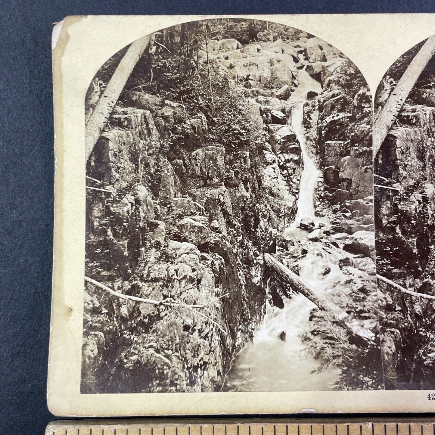 Beecher's Falls Gorge Crawford House Stereoview New Hampshire c1870s Y1879