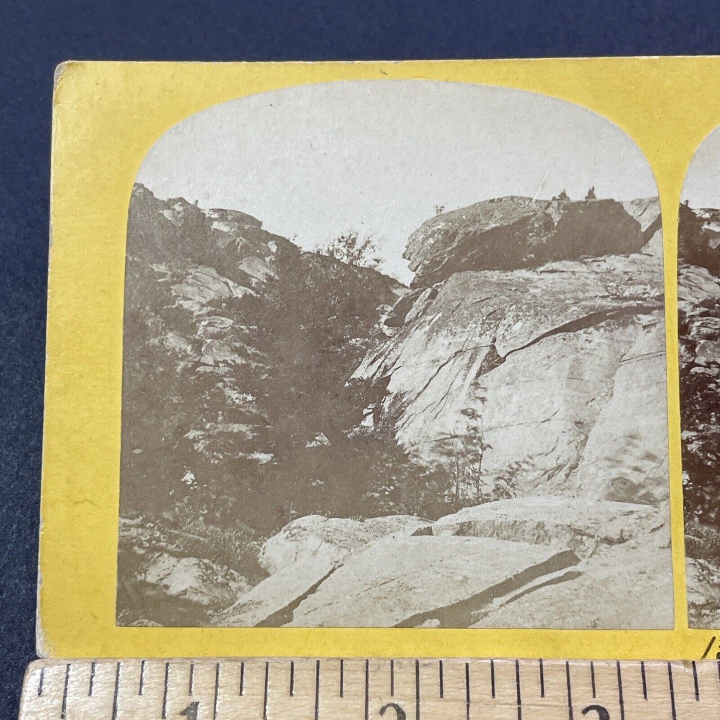 Antique 1870s Mount Monadnock Patriarch Summit Stereoview Photo Card V2106