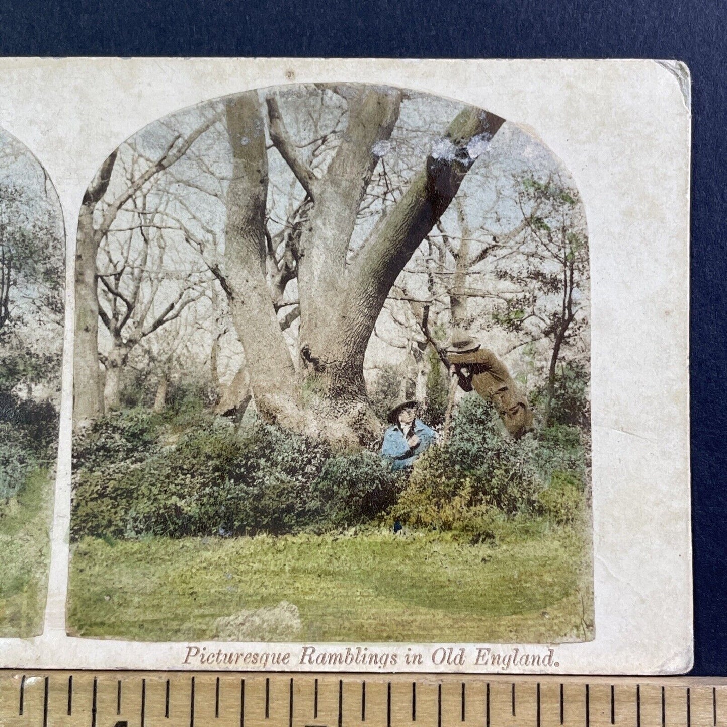 British Gardeners Landscapers Take A Rest Stereoview Antique c1870 X2453