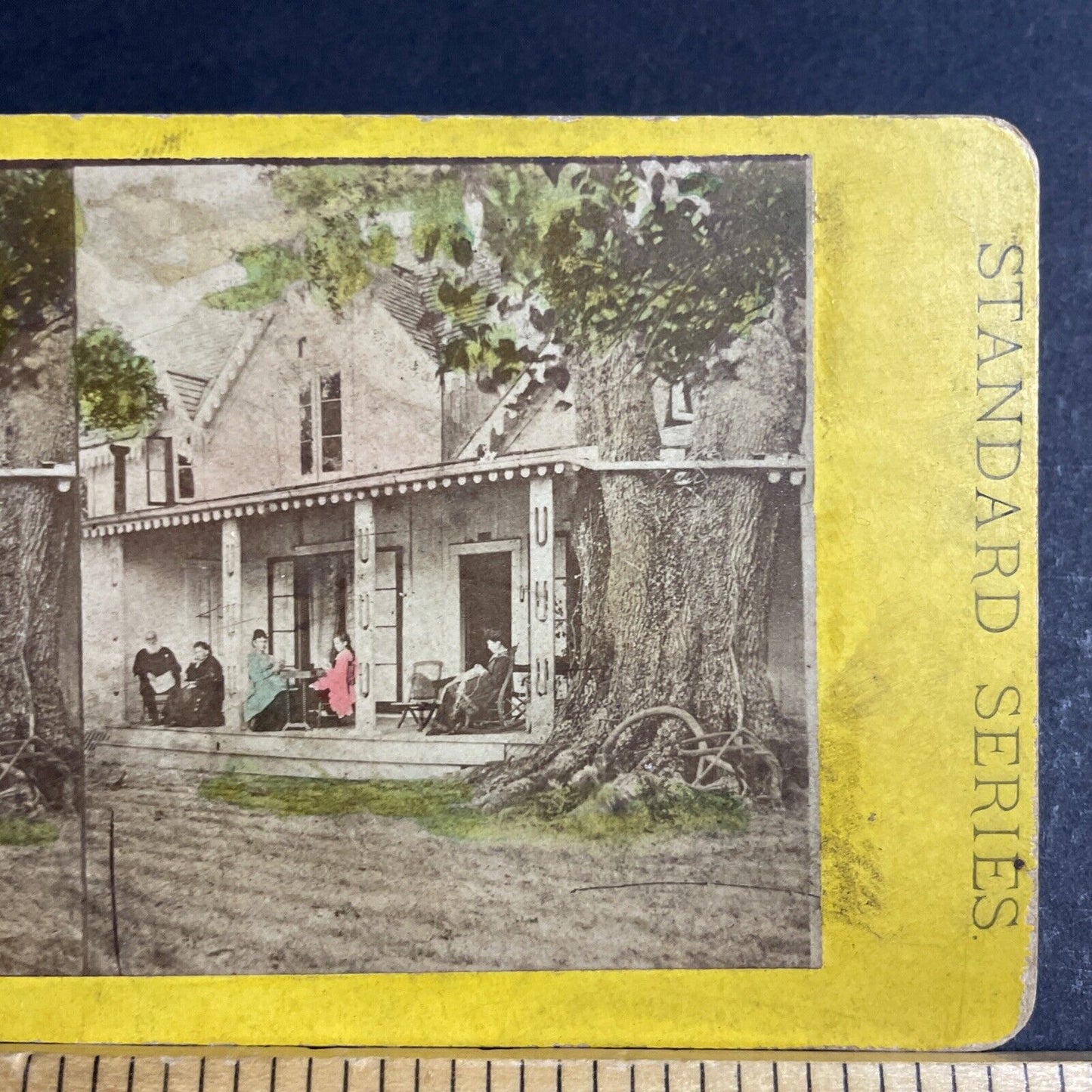 Antique 1870s Huge Oak Tree Grows Into House Florida Stereoview Photo Card P4774