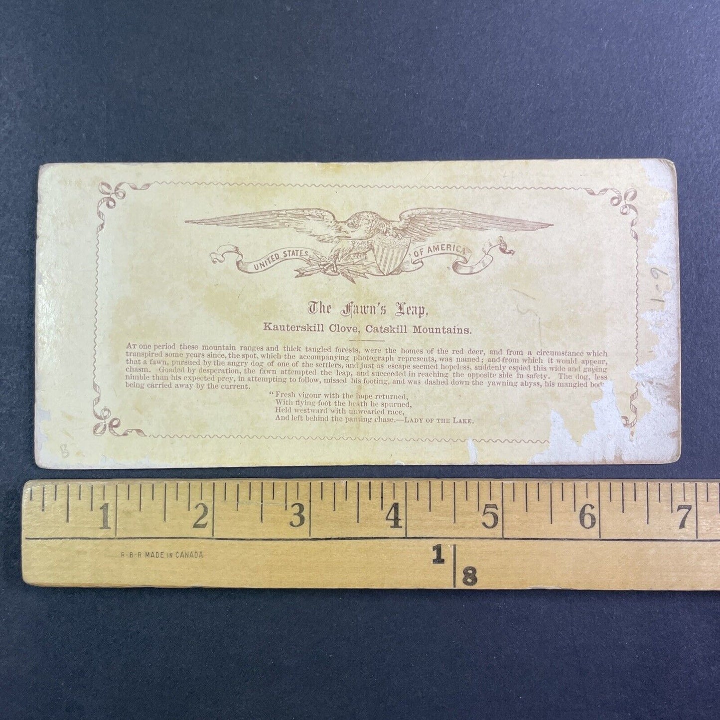 Kaaterskill Clove Catskill Mountains Stereoview New York Antique c1870s Y2559
