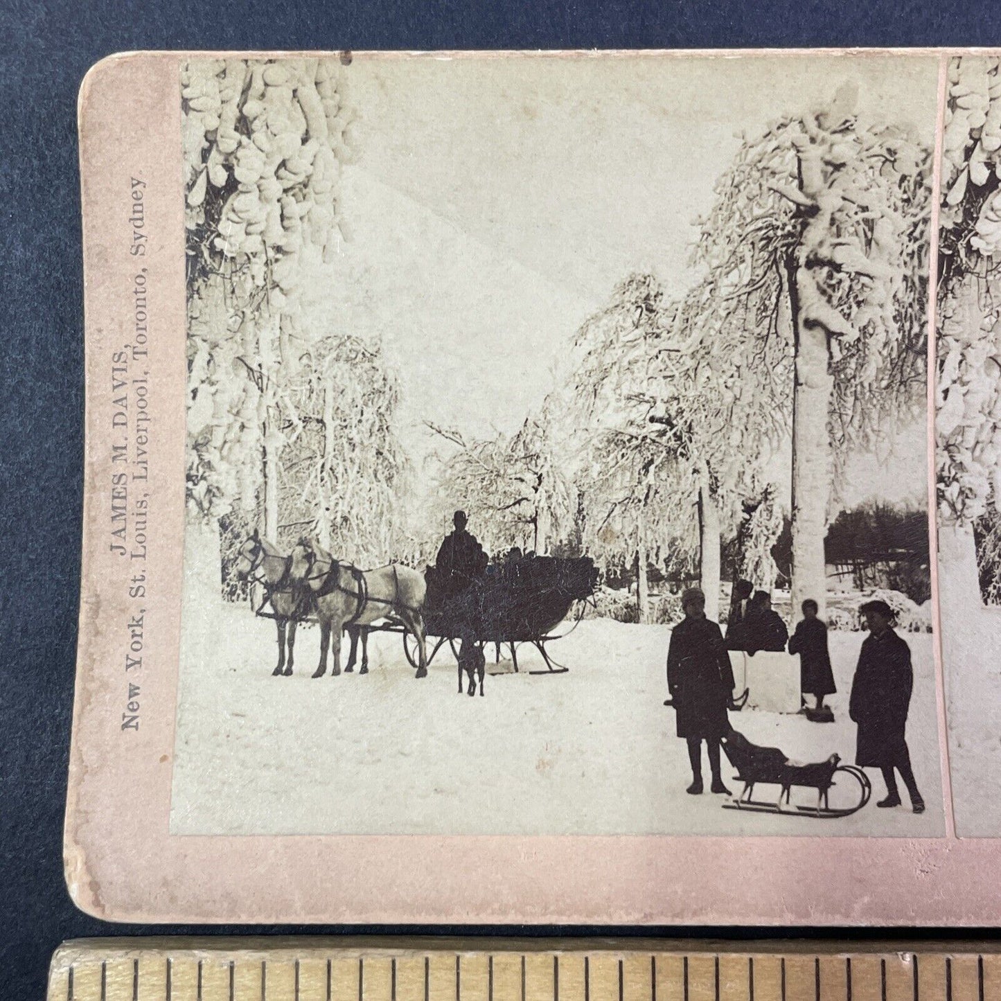 Christmas Sleigh Rides in Winter Stereoview Niagara Falls Antique c1893 Y1787