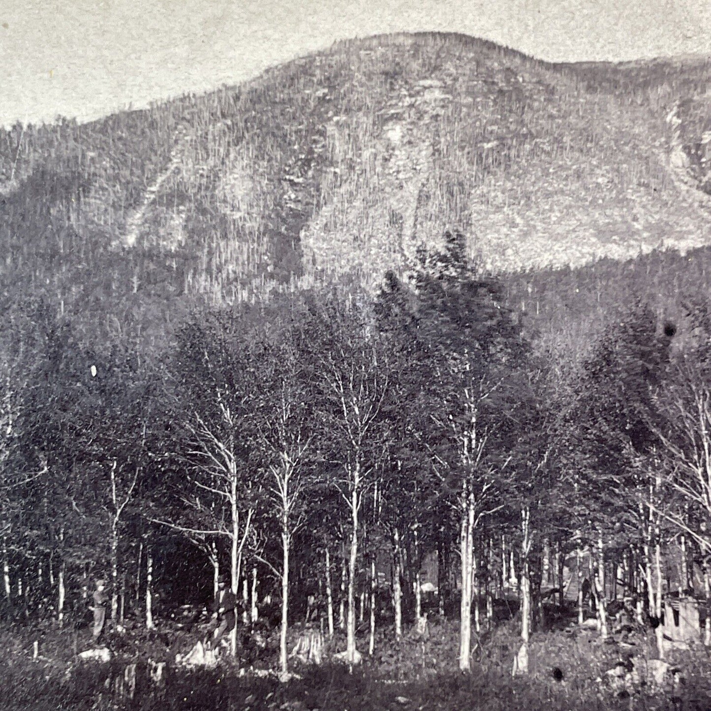 Cannon Mountain New Hampshire Stereoview E&HT Anthony Antique c1868 X3654