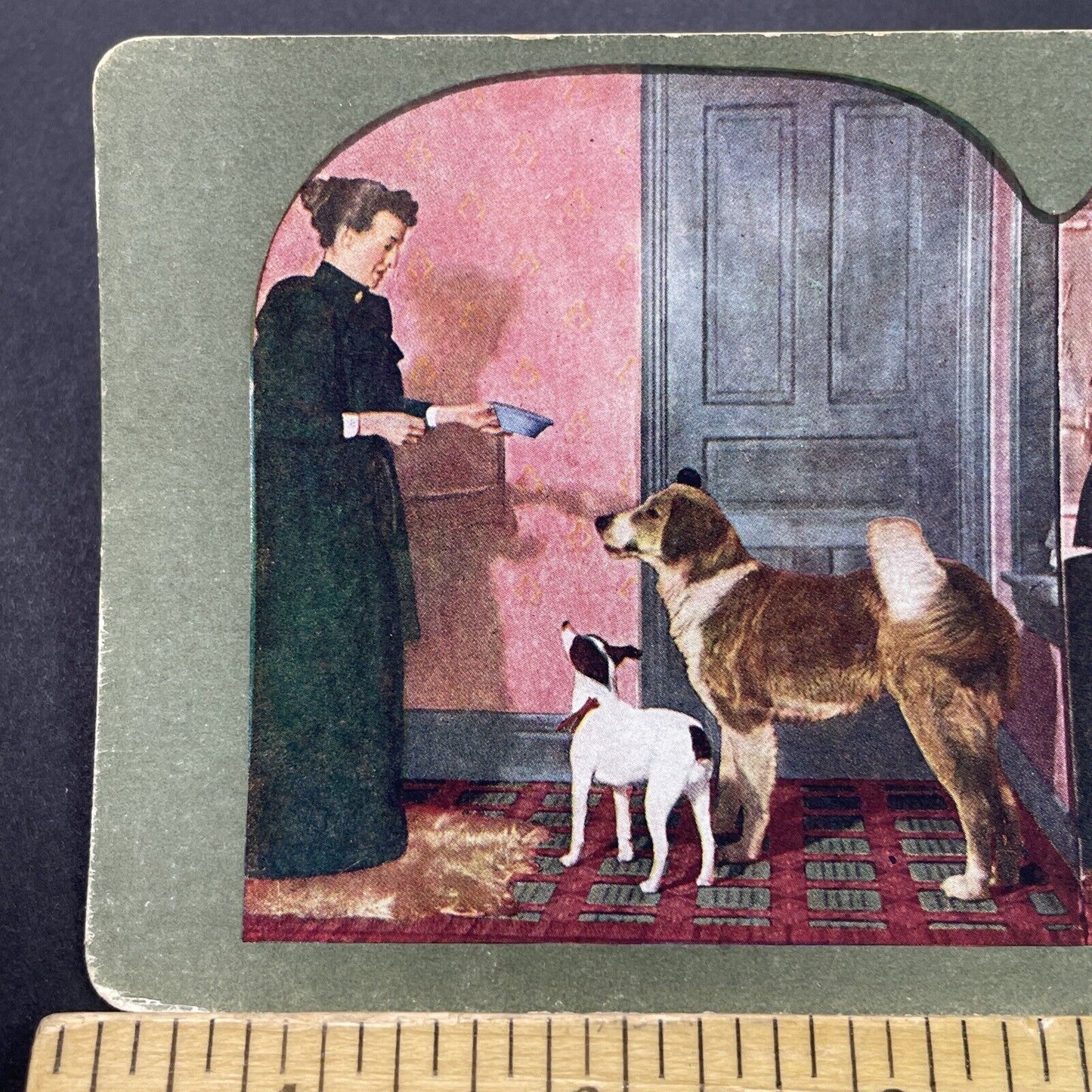 Antique 1898 Woman Feeds Her Dogs Breakfast Stereoview Photo Card P3122