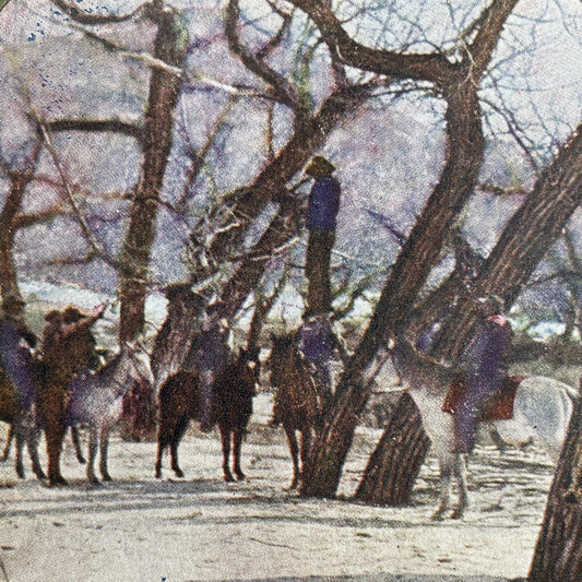 Antique 1898 Vigilantes vs Gold Thieves Helen MT Stereoview Photo Card P580-057