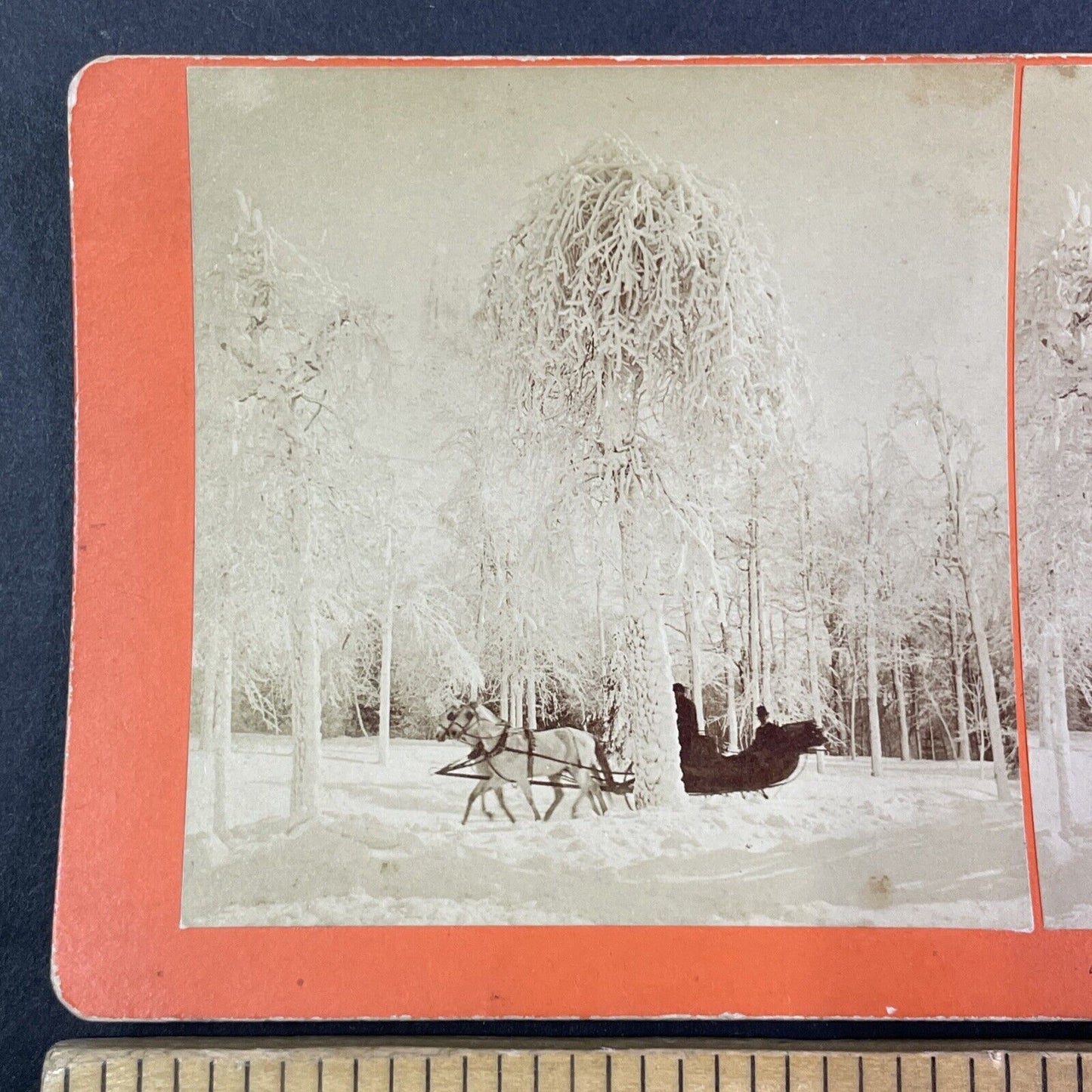 Niagara Falls Christmas Sleigh Ride Stereoview B.W. Kilburn Antique c1891 Y2124
