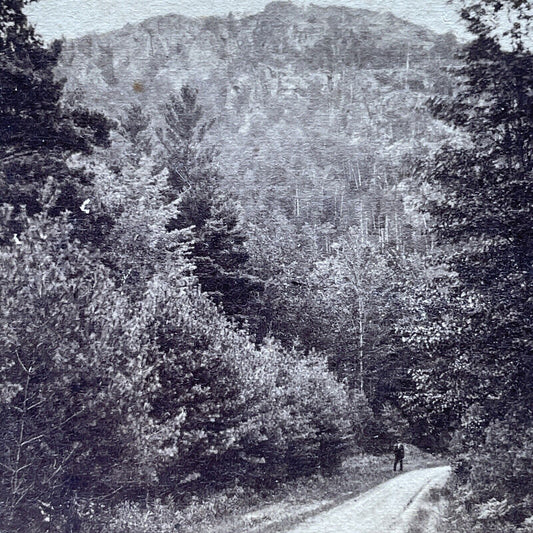 Antique 1880s A Roadway In Warren New Hampshire Stereoview Photo Card P2435