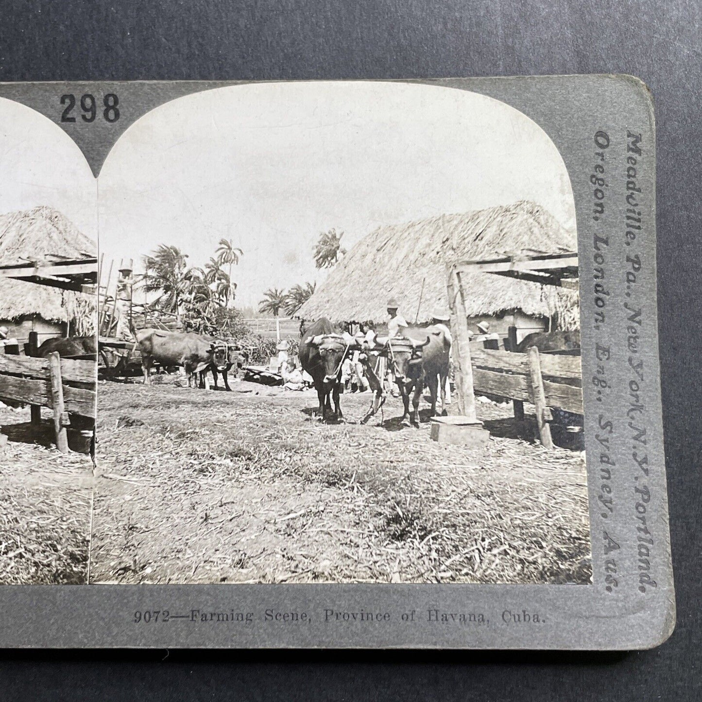 Antique 1918 Farming Farm In Havana Cuba Stereoview Photo Card P1612