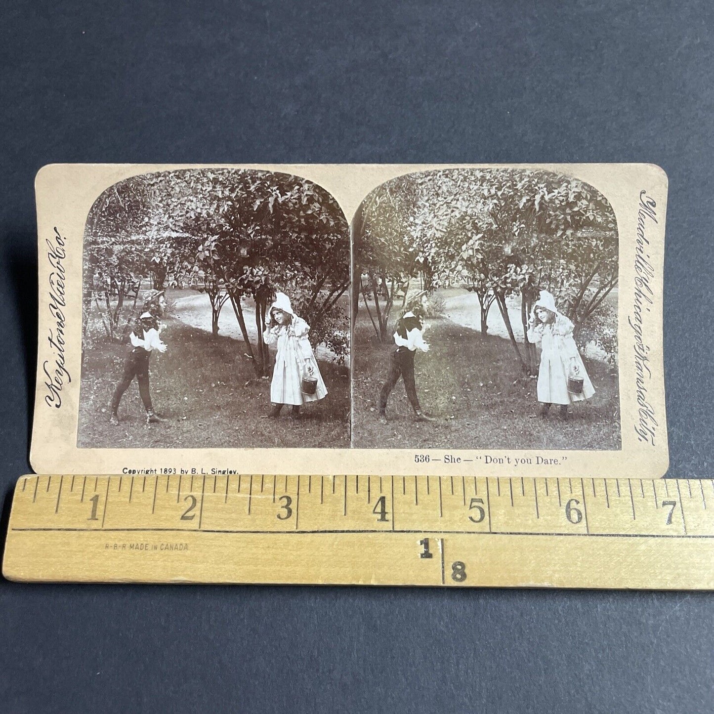 Antique 1893 Children Play Hansel And Gretel Stereoview Photo Card P4734