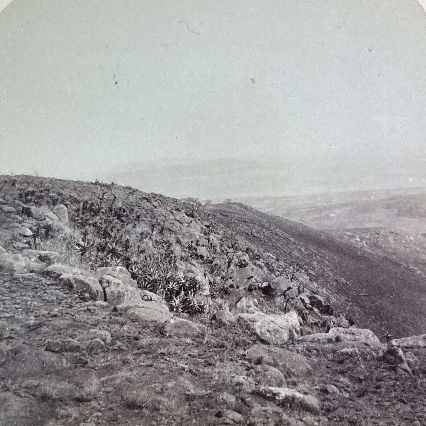 Spion Kop South Slope Battlefield Stereoview Boer War South Africa c1901 Y3019